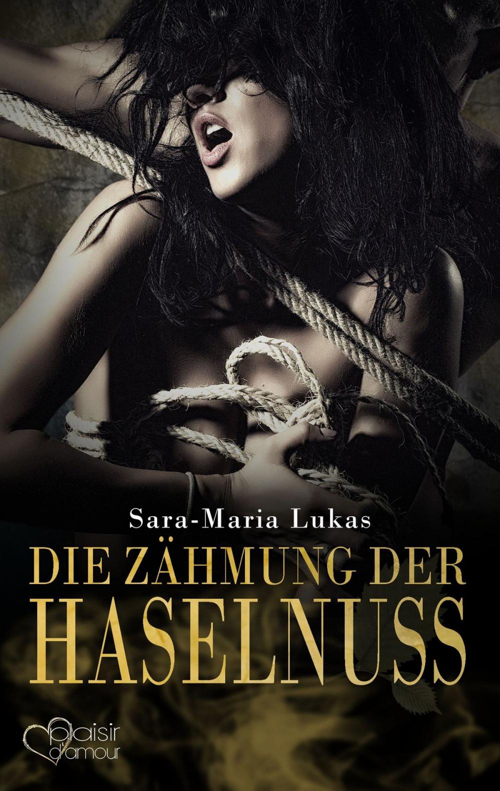 Big bigCover of Hard & Heart 3: Die Zähmung der Haselnuss