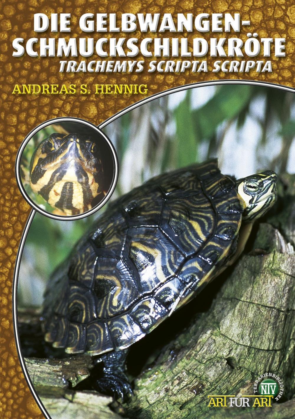 Big bigCover of Die Gelbwangenschmuckschildkröte