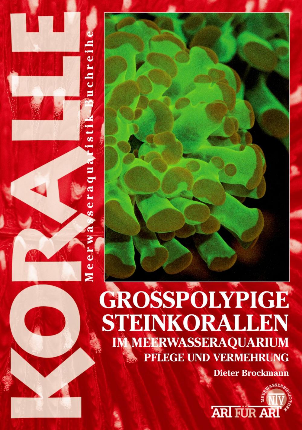 Big bigCover of Grosspolypige Steinkorallen im Meerwasseraquarium