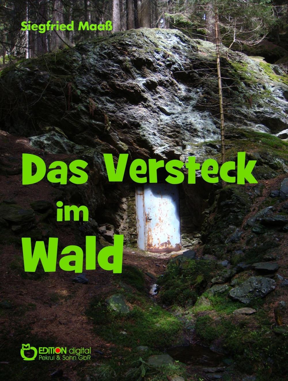 Big bigCover of Das Versteck im Wald