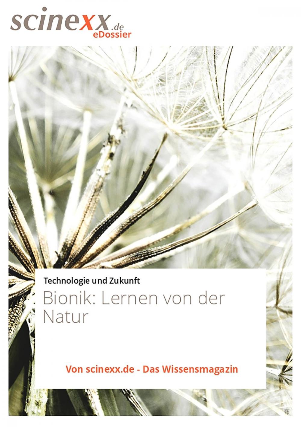 Big bigCover of Bionik