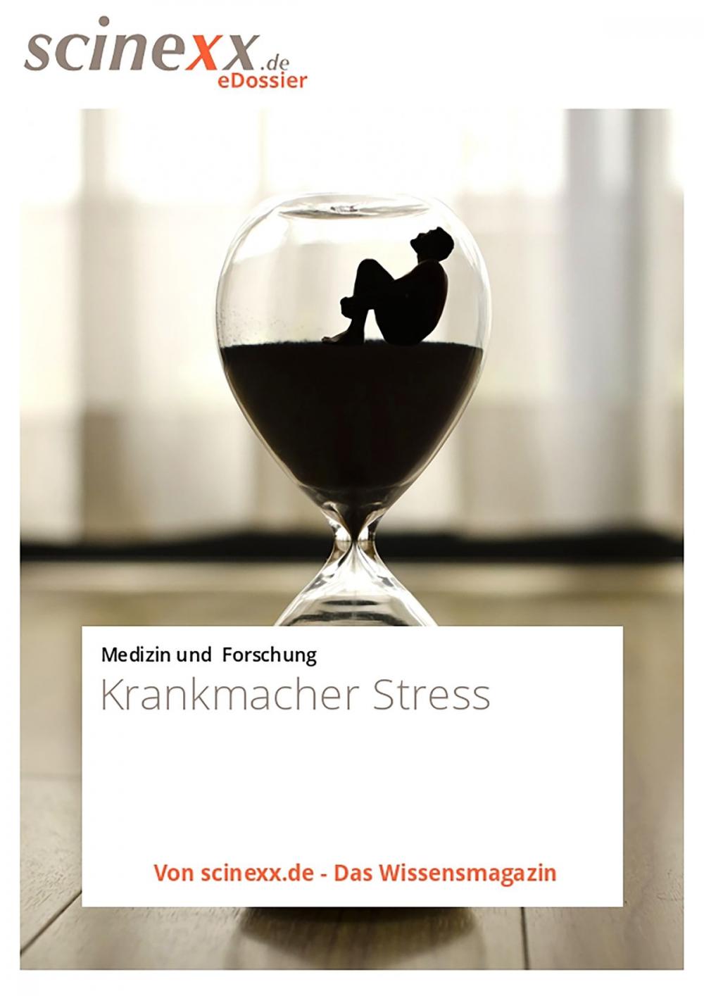 Big bigCover of Krankmacher Stress