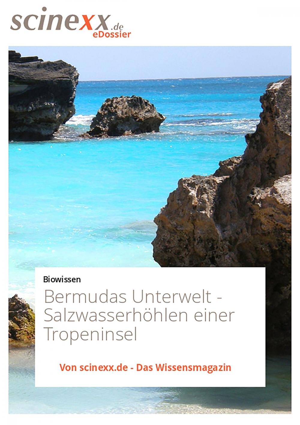 Big bigCover of Bermudas Unterwelt