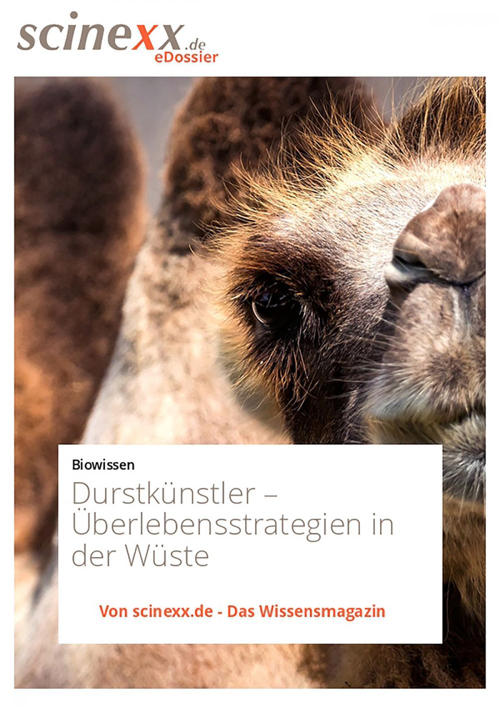 Big bigCover of Durstkünstler