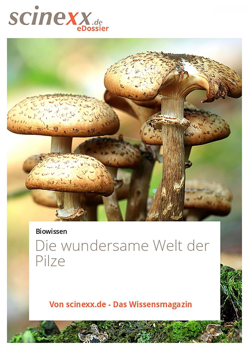 Big bigCover of Die wundersame Welt der Pilze