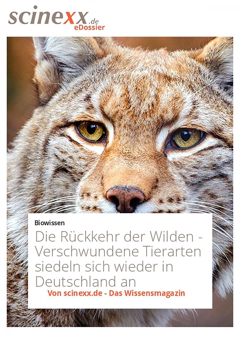 Big bigCover of Die Rückkehr der Wilden