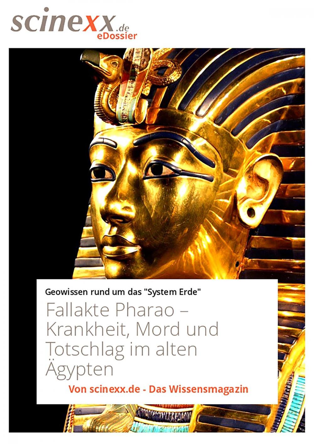 Big bigCover of Fallakte Pharao