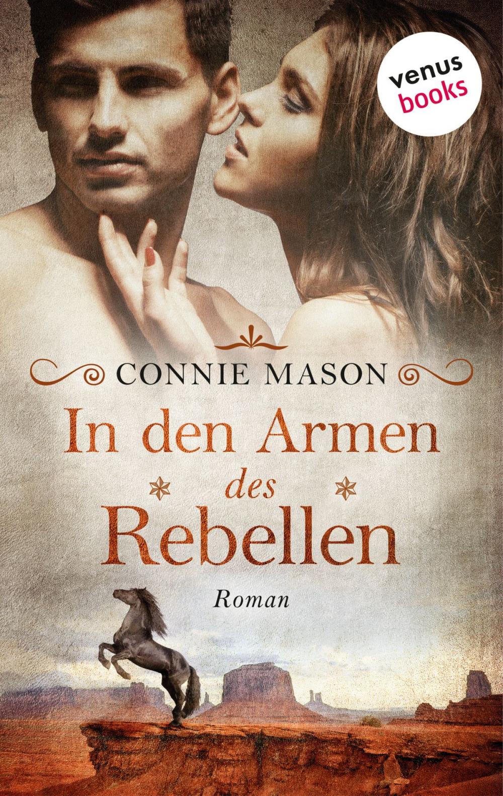 Big bigCover of In den Armen des Rebellen