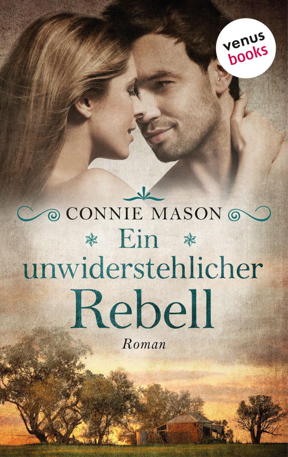 Big bigCover of Ein unwiderstehlicher Rebell