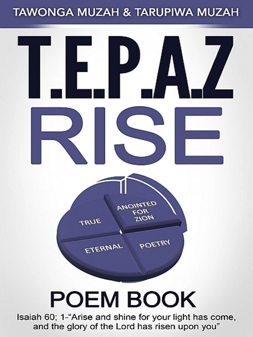 Big bigCover of T.E.P.A.Z Rise