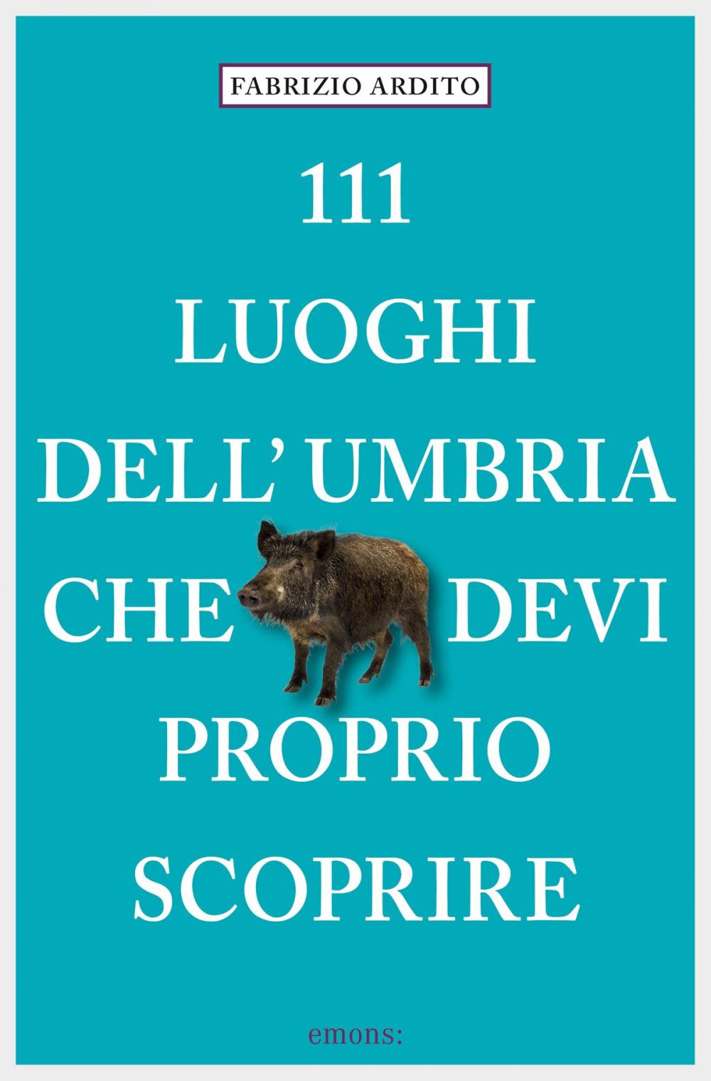 Big bigCover of 111 Luoghi dell'Umbria che devi proprio scoprire