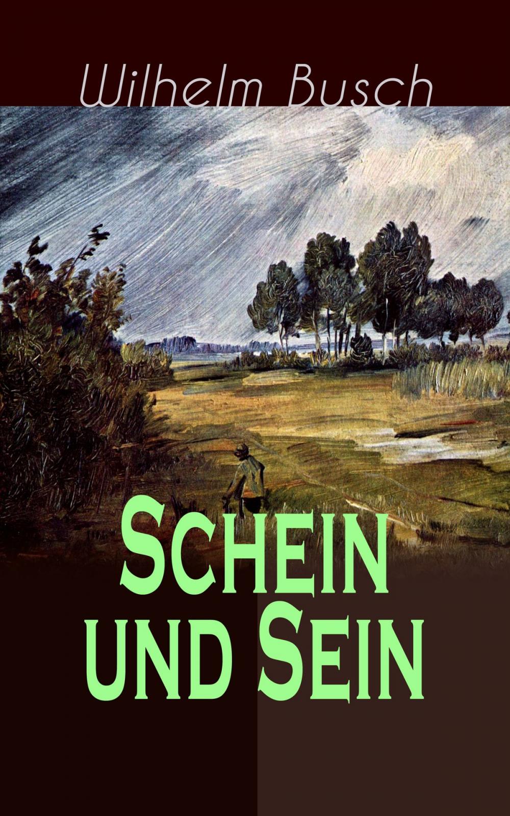 Big bigCover of Schein und Sein