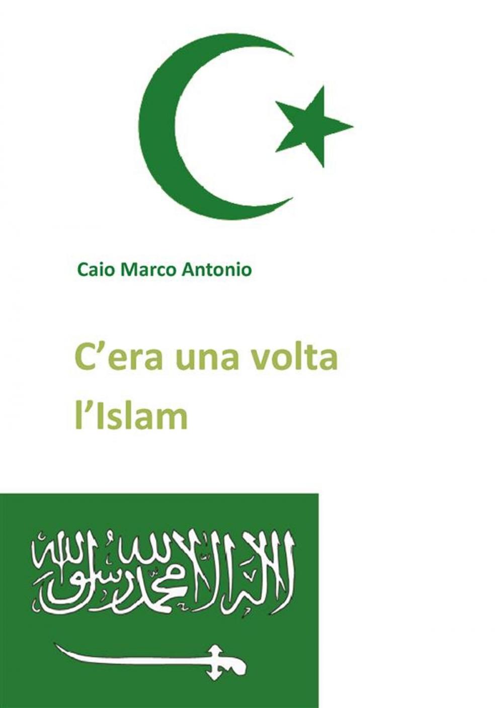 Big bigCover of C'era una volta l'Islam