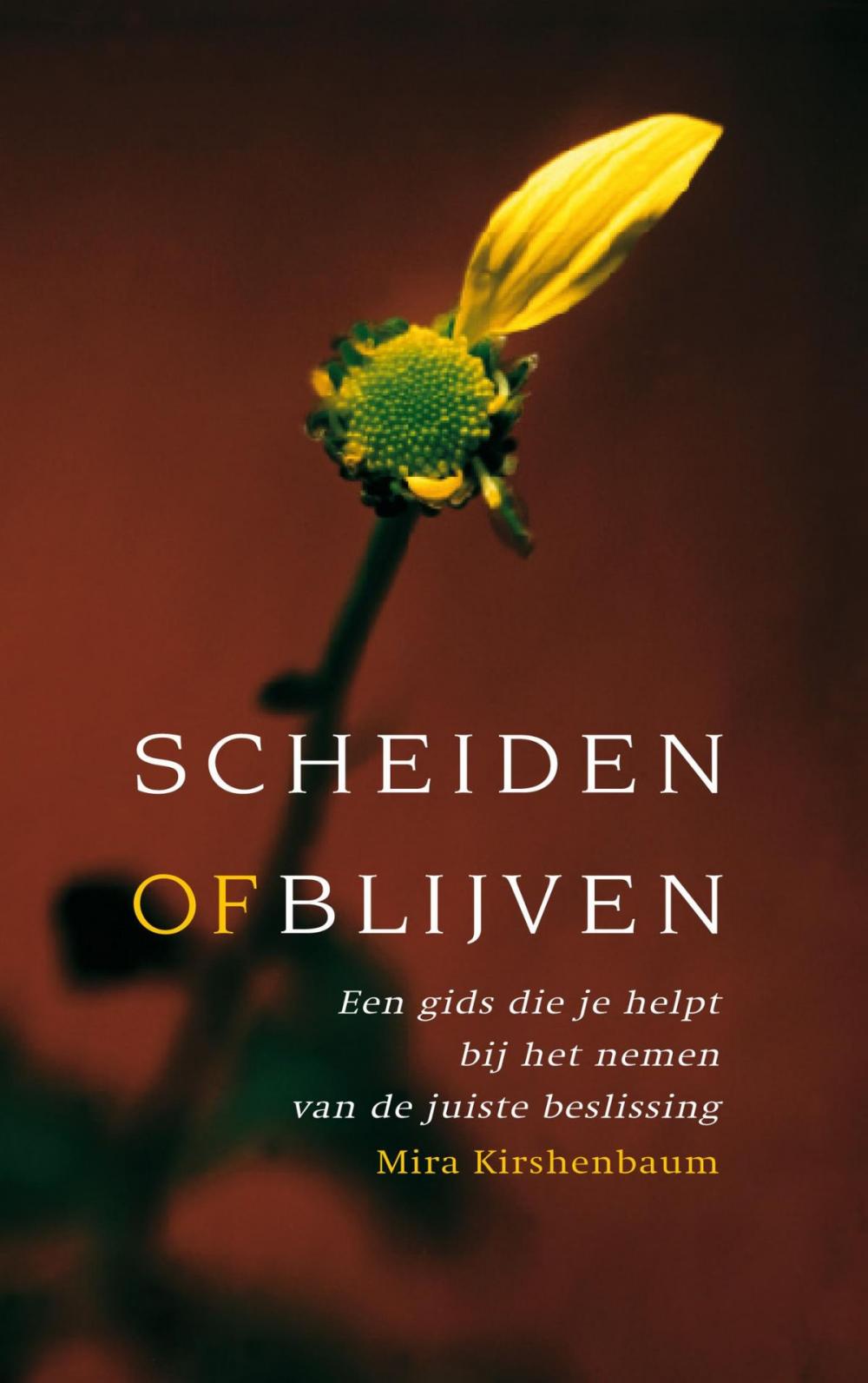 Big bigCover of Scheiden of blijven