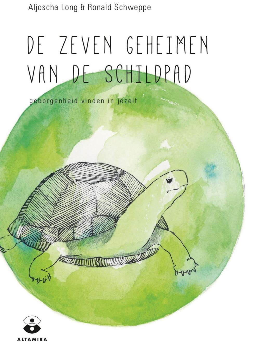 Big bigCover of De zeven geheimen van de schildpad