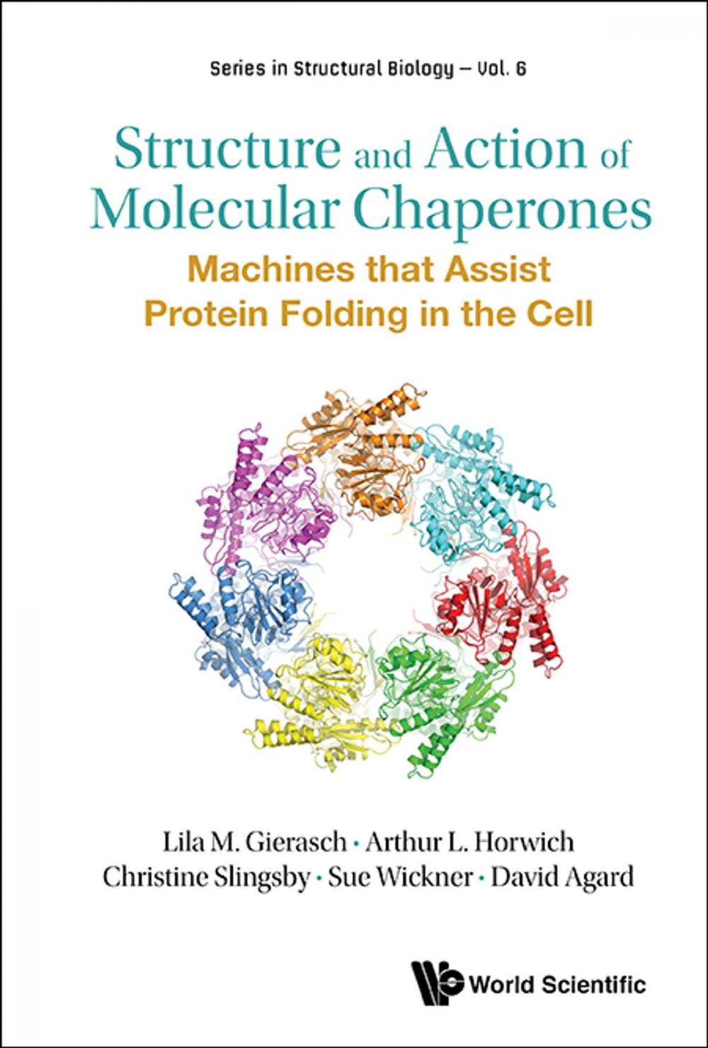 Big bigCover of Structure and Action of Molecular Chaperones