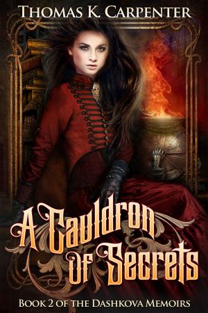 Book cover of A Cauldron of Secrets