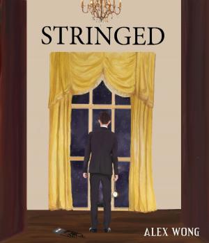 bigCover of the book Stringed by 