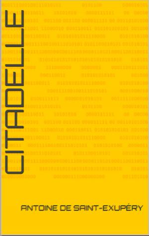 Cover of the book Citadelle by Debbie Loots