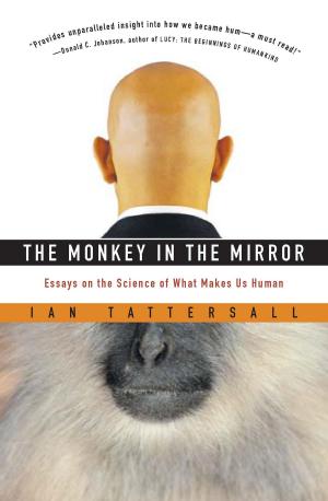 Cover of the book The Monkey in the Mirror by José Saramago