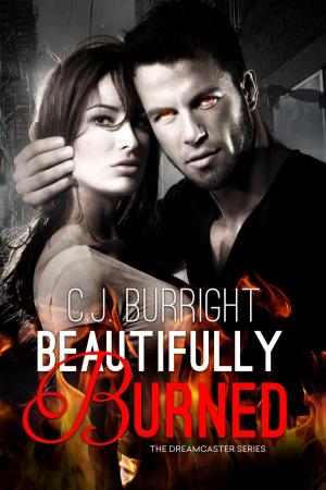 Cover of Beautifully Burned