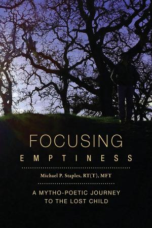 Cover of Focusing Emptiness