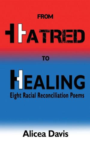Cover of the book From Hatred to Healing by Richard E. Simmons III