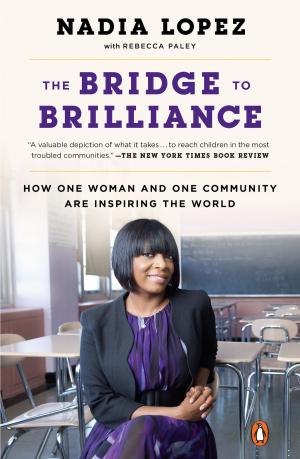 Cover of the book The Bridge to Brilliance by Victor Davich