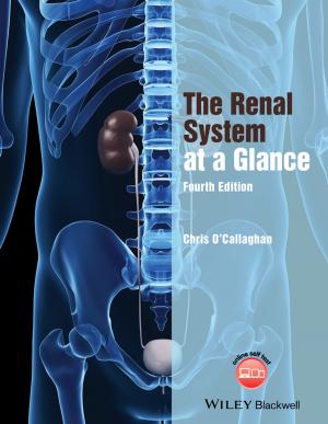 Cover of the book The Renal System at a Glance by John A. Tracy