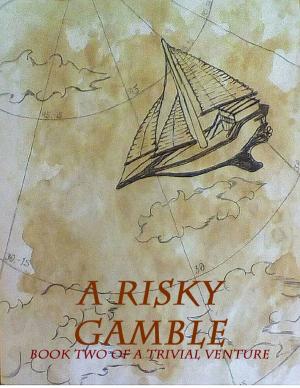bigCover of the book A Risky Gamble: Book Two of the Trivial Venture by 