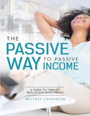 Cover of the book The Passive Way to Passive Income by Jasper Siegel Seneschal