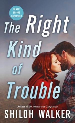 Cover of the book The Right Kind of Trouble by Bill Crider