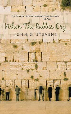Cover of the book When the Rabbis Cry by Amy Scovil