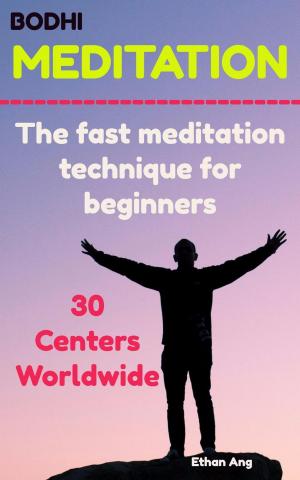Cover of the book Bodhi Meditation : The Fast Meditation Technique For Beginners by Lawson Murray