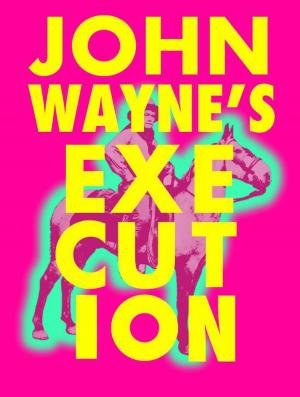 Book cover of John Wayne's Execution