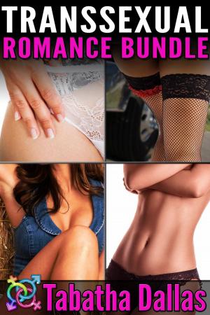 Cover of the book Transsexual Romance Bundle by Jay Walken