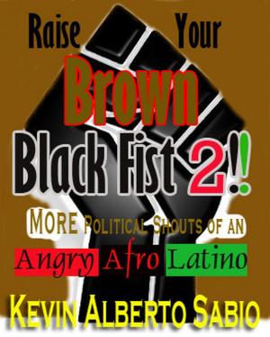 Book cover of Raise Your Brown Black Fist 2: MORE Political Shouts of an Angry Afro Latino