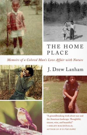 Cover of the book The Home Place by Michael Bazzett