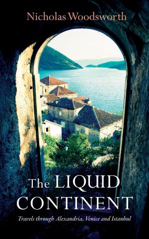 Book cover of The Liquid Continent
