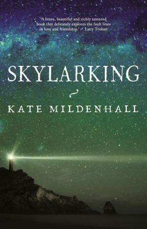 Book cover of Skylarking