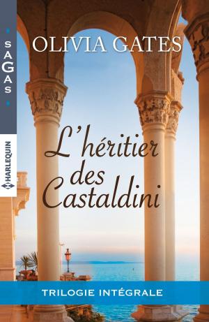 Book cover of L'héritier des Castaldini