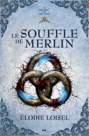 Cover of the book Le souffle de Merlin by Mathieu Fortin