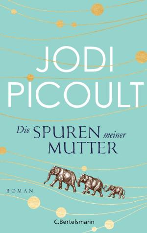Cover of the book Die Spuren meiner Mutter by Ruediger Dahlke, Margit Dahlke, Volker Zahn