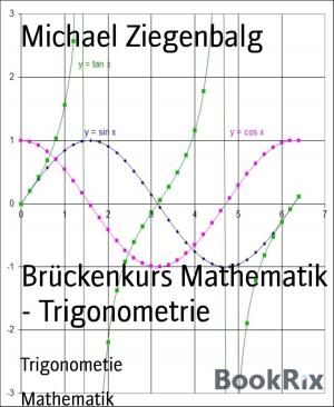 Cover of the book Brückenkurs Mathematik - Trigonometrie by Jan Gardemann