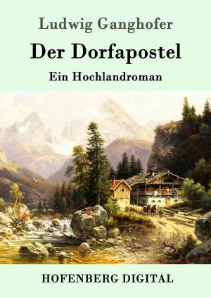 Cover of the book Der Dorfapostel by Julius Wolff