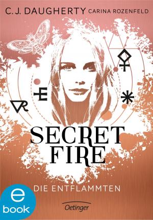 Book cover of Secret Fire. Die Entflammten