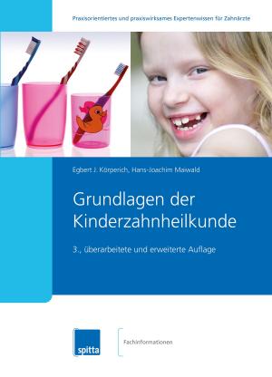 Book cover of Grundlagen der Kinderzahnheilkunde