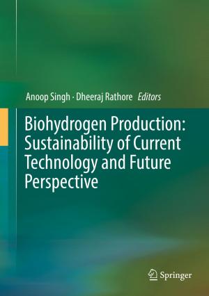 Cover of the book Biohydrogen Production: Sustainability of Current Technology and Future Perspective by Geethanjali Nataraj, Pravakar Sahoo, Ranjan Kumar Dash