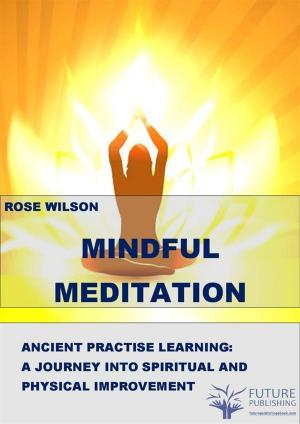 Cover of Mindful meditation