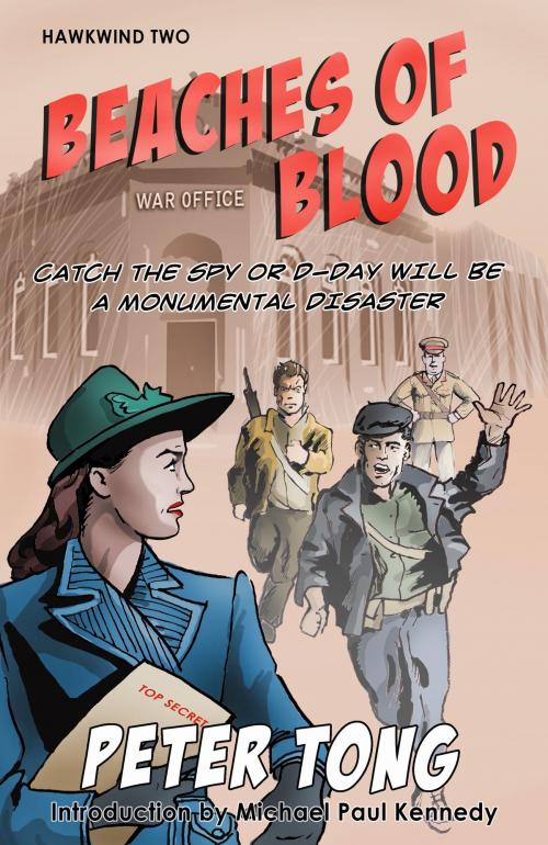 Cover of the book Beaches of Blood by Peter Tong, Marlborough Court